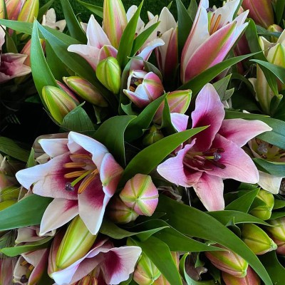Peonies and Lillies.