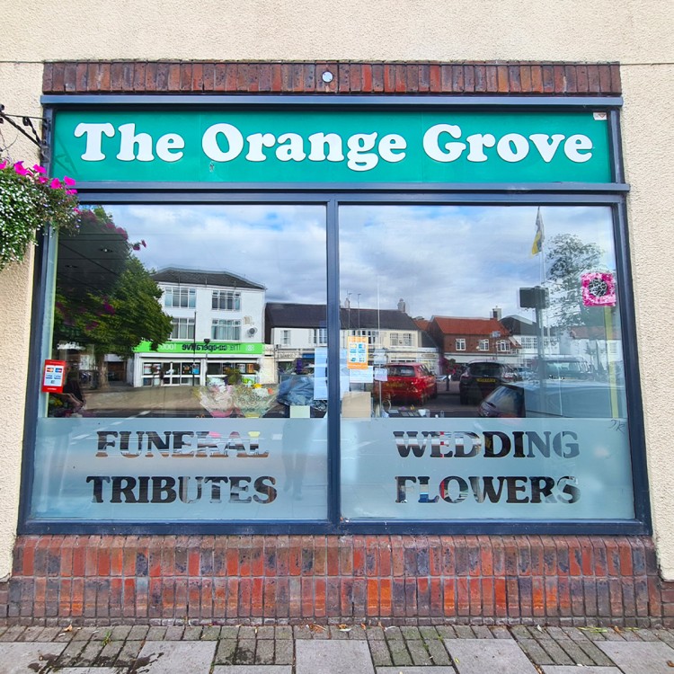 The Orange Grove NEW